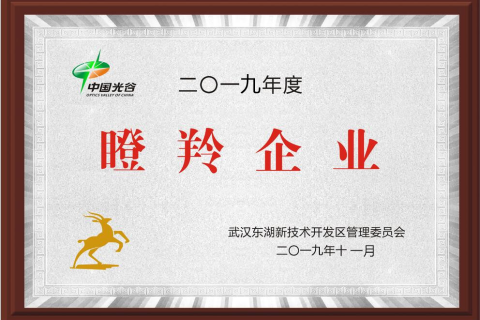 武汉唯众智创科技有限公司2019瞪羚企业