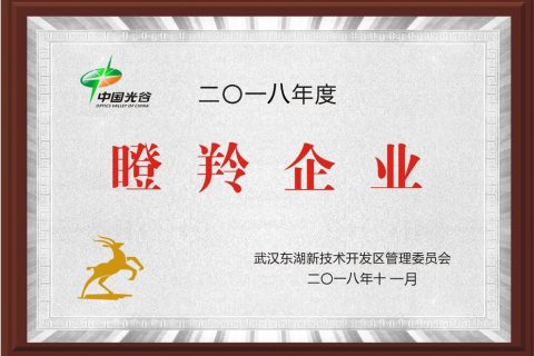 武汉唯众智创科技有限公司2018瞪羚企业